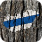 Balúrázó képe